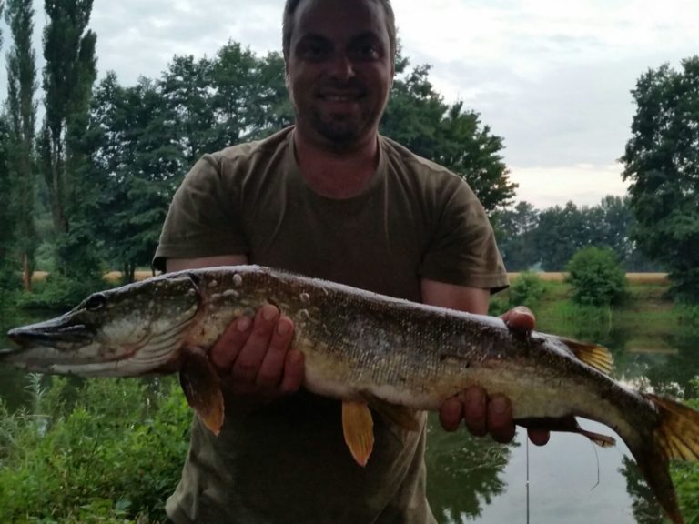 Hecht und Aal aus dem Böddiger Teich